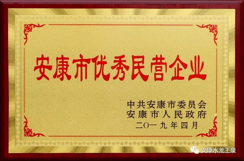 喜訊！安康市青蓮飲料有限公司被授予“安康市優(yōu)秀民營企業(yè)”稱號